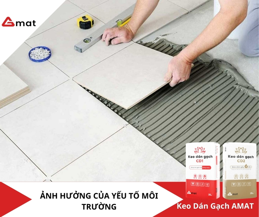 Ảnh Hưởng Của Yếu Tố Môi Trường