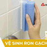 Vệ sinh ron gạch