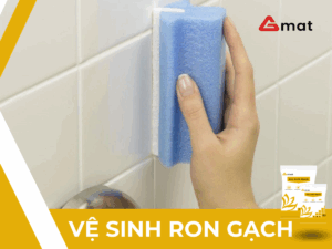 Vệ sinh ron gạch